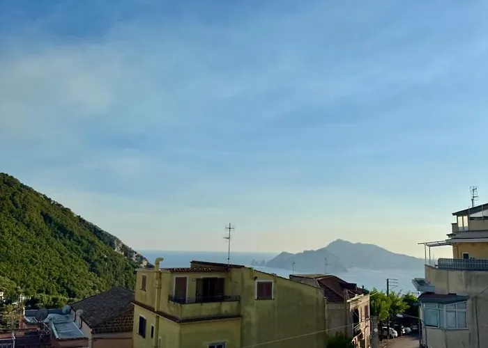 Stella D'argento Termini