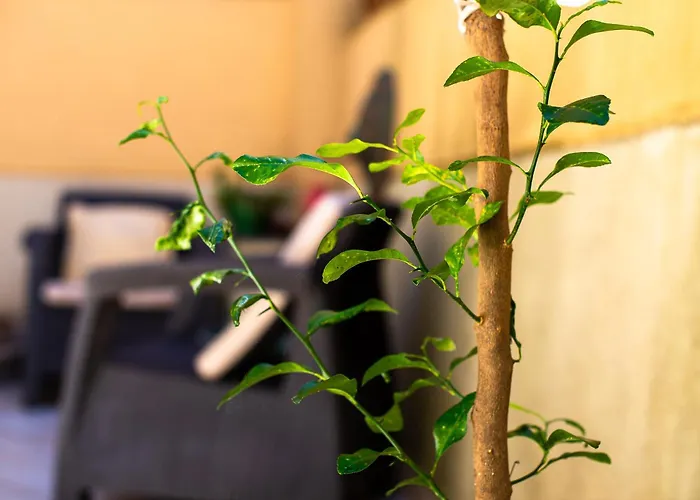 Stella D'argento Prázdninový dům *