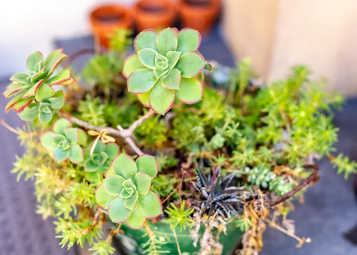 Stella D'argento Prázdninový dům *