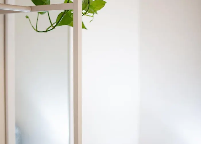 Stella D'argento Termini